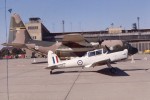 Chipmunk at a Tempelhof