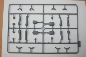 01-ICM-sprue