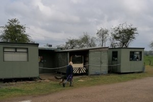 Mantrailling-2304-03