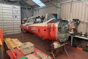 Chipmunk-WB627-29