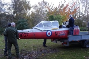 Chipmunk-WB627_17
