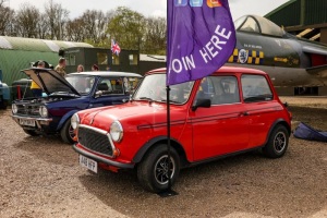 Norfolk-Mini-Owners-05