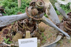 202412-Hampden-P2123-01