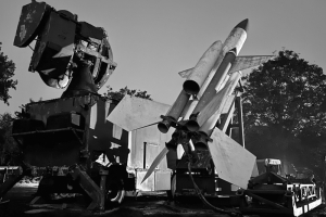 COAP-Bloodhound-11