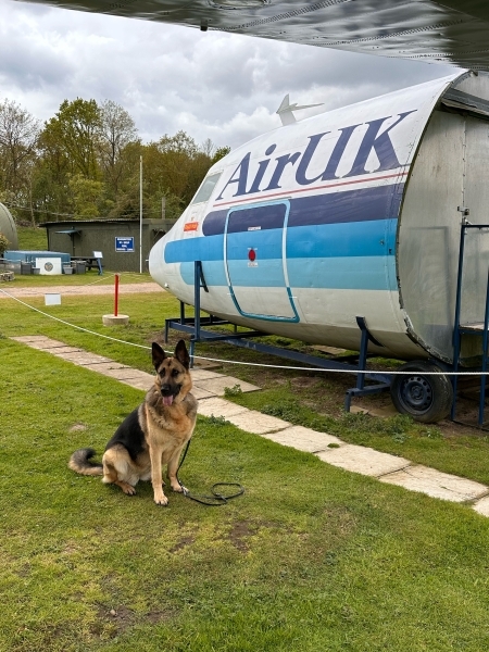 202404-Norfolk-Scent-Dogs-02