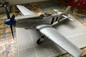 MMU-Mustang