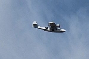 Visitor-20240815-02