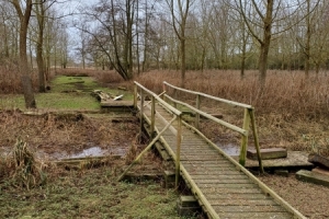 Adair-Walk-Repairs-03