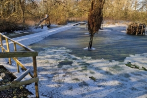 202501B-Winters-Tale-03