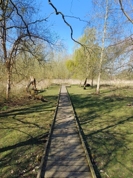 Adair-Walk-Apr-2025-01