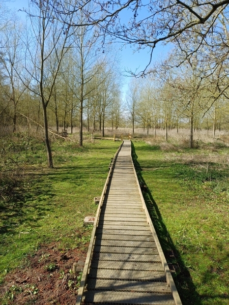 Adair-Walk-Apr-2025-02