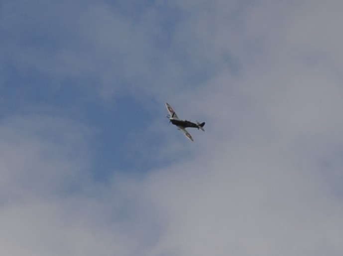 20250629-Spitfire-holding-01