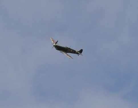 20250629-Spitfire-holding-02