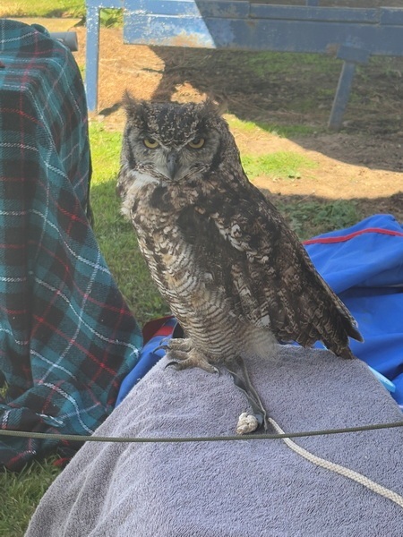 Family-Fun-Day-Aug-2025-07_2