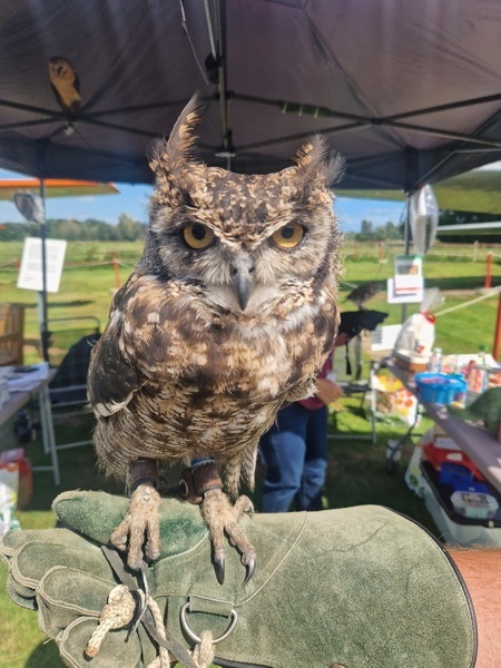 Family-Fun-Day-Aug-2025-11_2