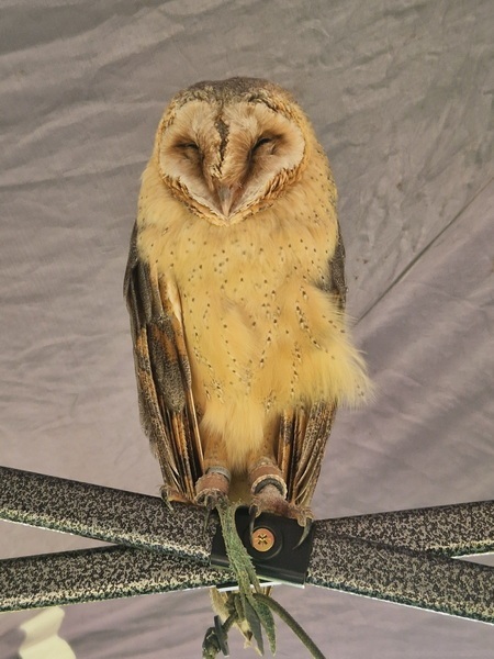 Family-Fun-Day-Aug-2025-13_2