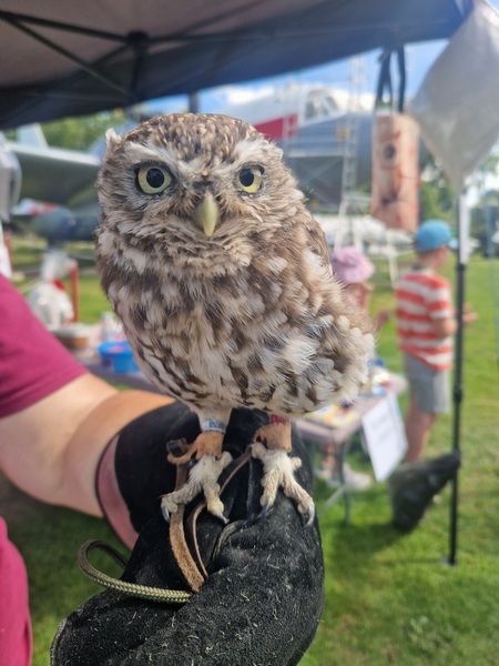 Family-Fun-Day-Aug-2025-14_2