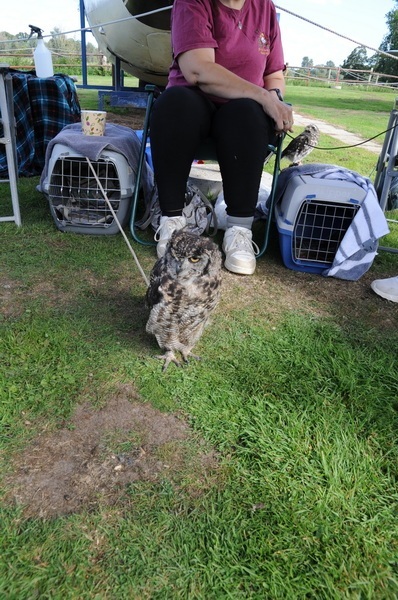 Family-Fun-Day-Aug-2025-23_2