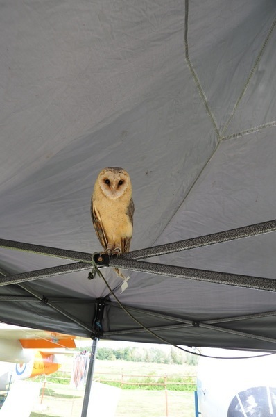 Family-Fun-Day-Aug-2025-29_2