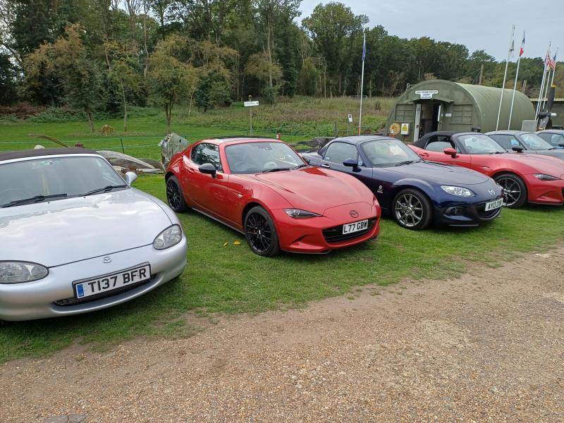 202510A-Norfolk-Fives-02