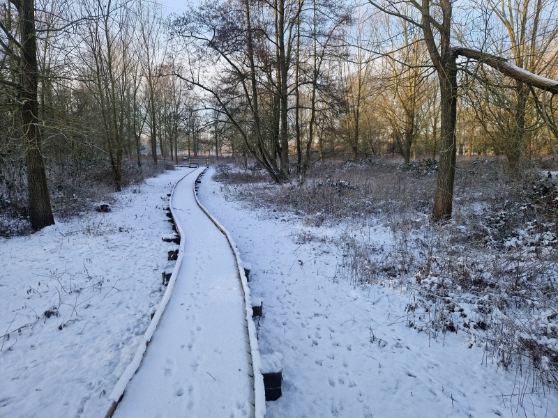 202601A-Winter-07