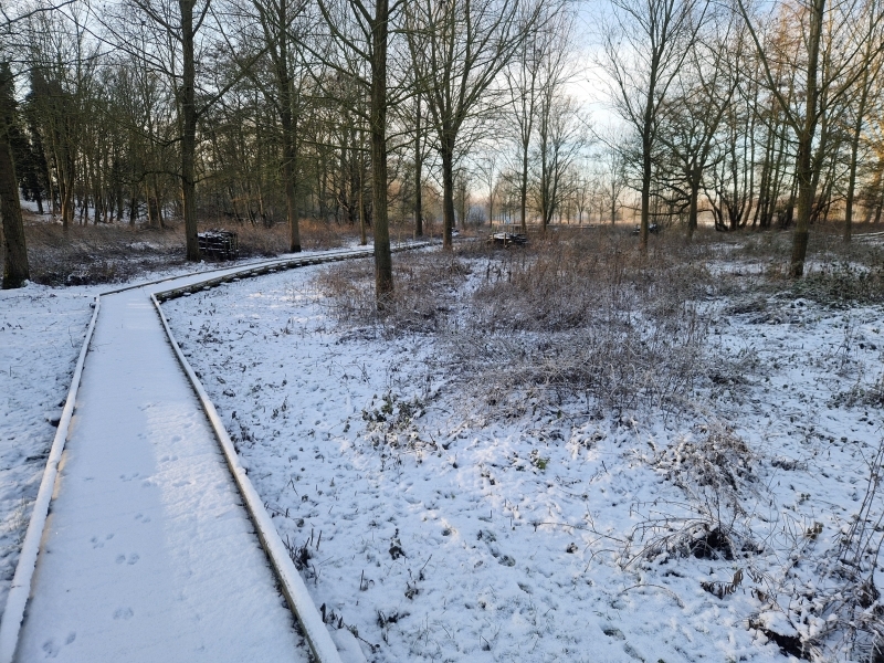 202601A-Winter-08