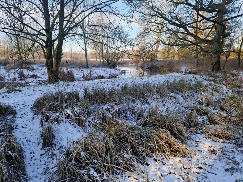 202601A-Winter-09