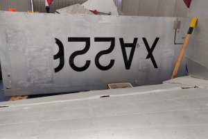 202606B-03-Grasshopper-Wing