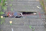 Adair Walk Broken Boardwalk#3