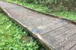 Adair Walk Broken Boardwalk#2