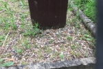 446 - Damage to Information Board
