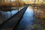 Adair Walk This Week