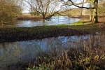 Adair Walk - River near Overflowing