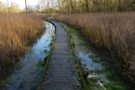 Adair Walk This Week