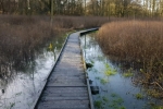 Adair Walk This Week