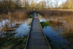 Adair Walk This Week