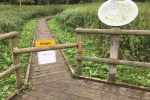 Adair Walk Closed for Repairs