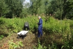 Begining of removal of balsam