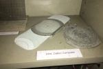 DR4 Dalton Computer