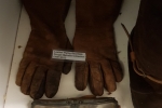 Melrose Gloves/Goggles