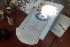 Model-Hurricane-Refub-02