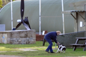 Sniffer-Dogs-02