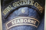 Shoulder Insignia