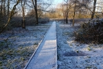 Winter 2017 #3