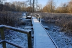 Winter 2017 #2
