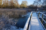 Winter 2017 #1