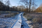 Winter 2017 #6