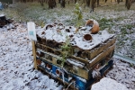 Bug Hotel #3