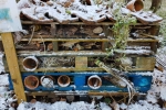 Bug Hotel #2