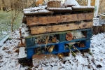 Bug Hotel #1